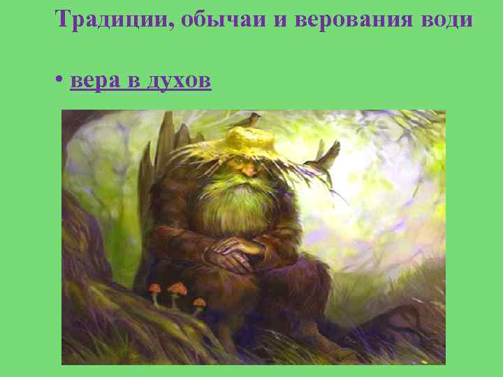 Традиции, обычаи и верования води • вера в духов 