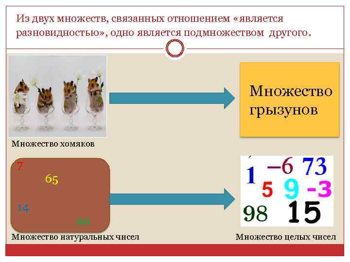 Из двух множеств, связанных отношением «является разновидностью» , одно является подмножеством другого. Множество грызунов