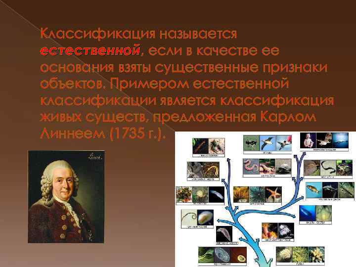 Классификация называется естественной, если в качестве ее естественной основания взяты существенные признаки объектов. Примером