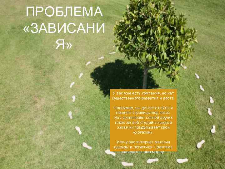 ПРОБЛЕМА «ЗАВИСАНИ Я» У вас уже есть компания, но нет существенного развития и роста.