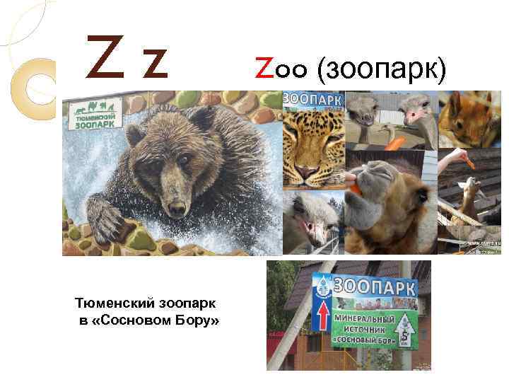 Zz Тюменский зоопарк в «Сосновом Бору» Zoo (зоопарк) 