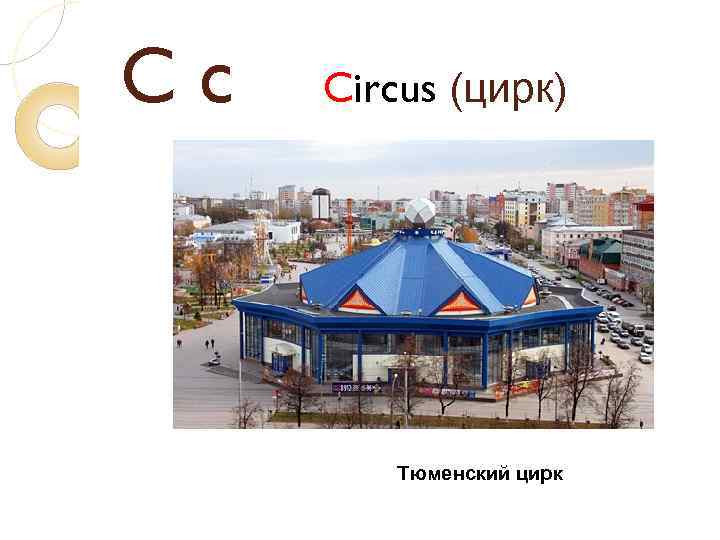 Cc Circus (цирк) Тюменский цирк 