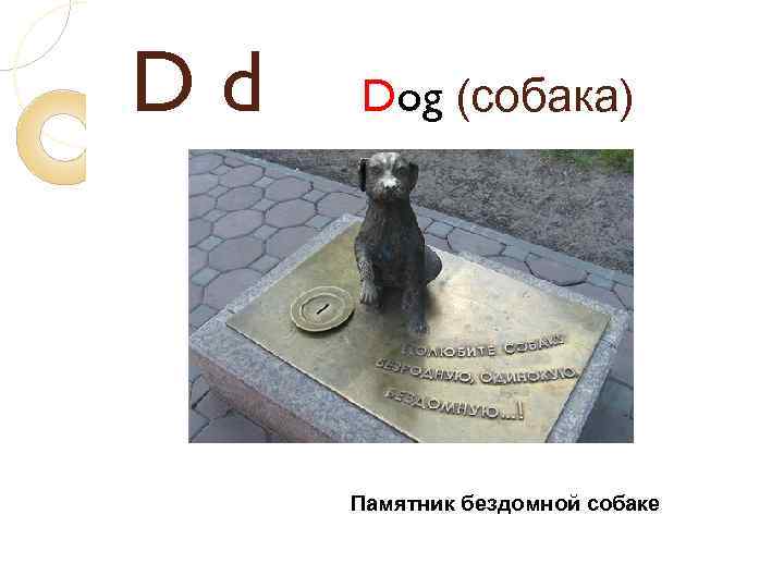 Dd Dog (собака) Памятник бездомной собаке 