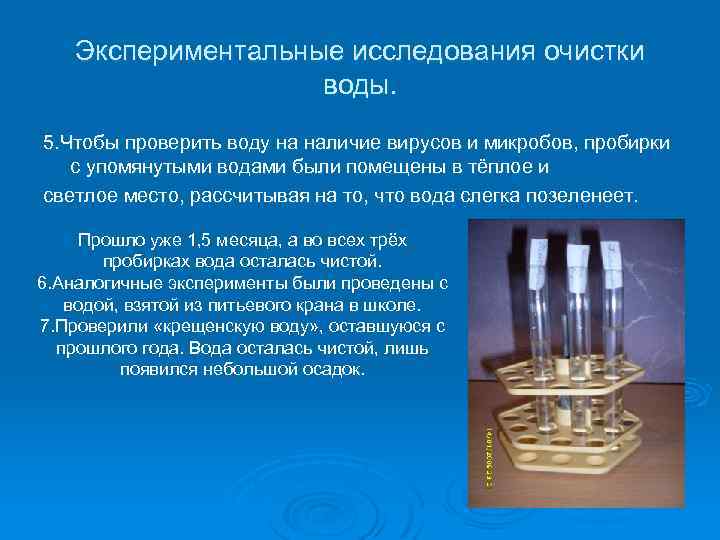 Экспериментальные исследования очистки воды. 5. Чтобы проверить воду на наличие вирусов и микробов, пробирки