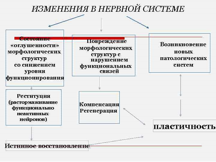 ИЗМЕНЕНИЯ В НЕРВНОЙ СИСТЕМЕ Состояние «оглушенности» морфологических структур со снижением уровня функционирования Повреждение морфологических