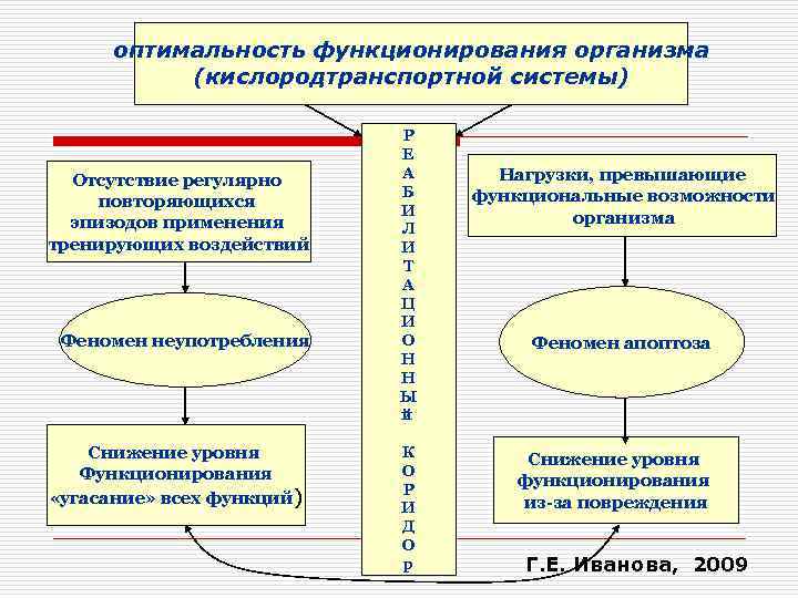 оптимальность функционирования организма (кислородтранспортной системы) Отсутствие регулярно повторяющихся эпизодов применения тренирующих воздействий Феномен неупотребления