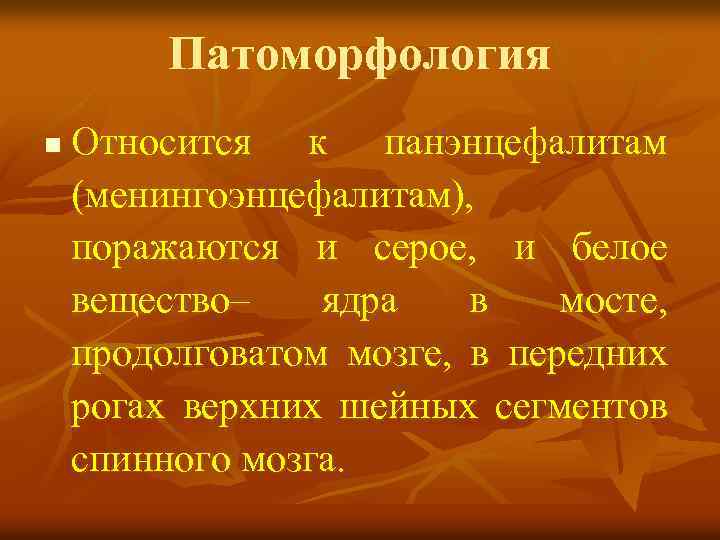 Патоморфология n Относится к панэнцефалитам (менингоэнцефалитам), поражаются и серое, и белое вещество– ядра в