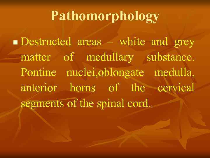Pathomorphology n Destructed areas – white and grey matter of medullary substance. Pontine nuclei,
