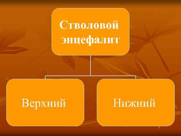 Стволовой энцефалит Верхний Нижний 