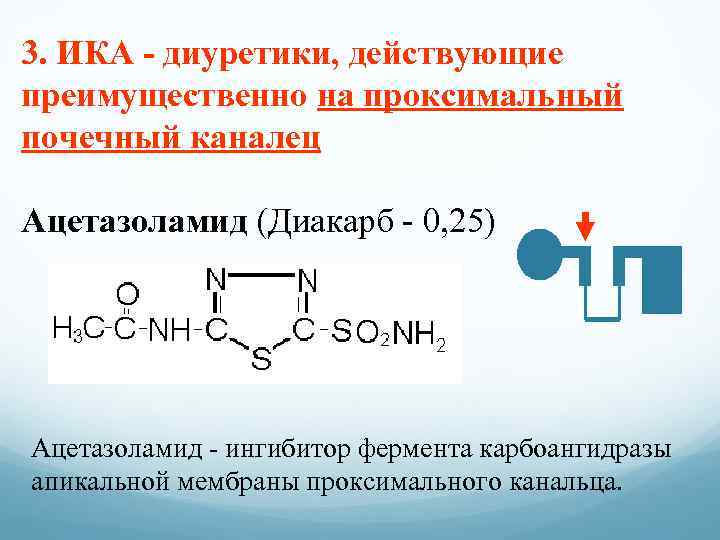 3. ИКА - диуретики, действующие преимущественно на проксимальный почечный каналец Ацетазоламид (Диакарб - 0,