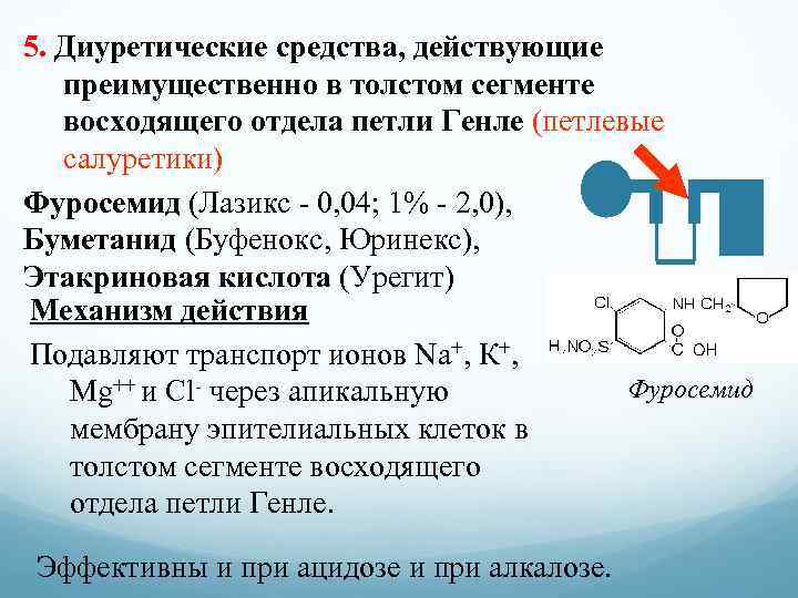 5. Диуретические средства, действующие преимущественно в толстом сегменте восходящего отдела петли Генле (петлевые салуретики)