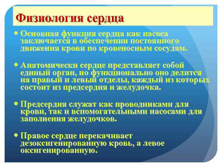 Физиология сердца Основная функция сердца как насоса заключается в обеспечении постоянного движения крови по