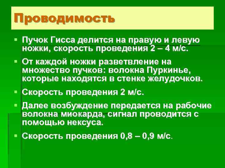 Проводимость § Пучок Гисса делится на правую и левую ножки, скорость проведения 2 –