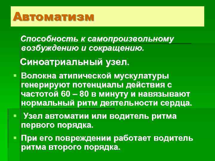 Автоматизм Способность к самопроизвольному возбуждению и сокращению. Синоатриальный узел. § Волокна атипической мускулатуры генерируют