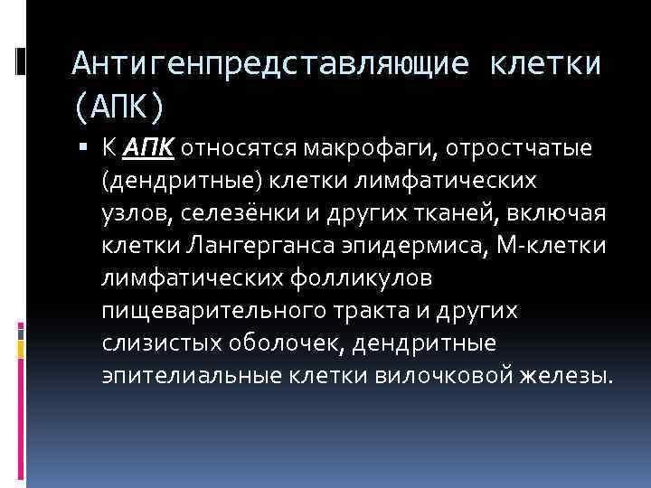 Антигенпредставляющие клетки (АПК) К АПК относятся макрофаги, отростчатые (дендритные) клетки лимфатических узлов, селезёнки и