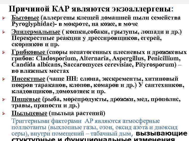 Причиной КАР являются экзоаллергены: Ø Ø Ø Бытовые (аллергены клещей домашней пыли семейства Pyroglyphidae)-