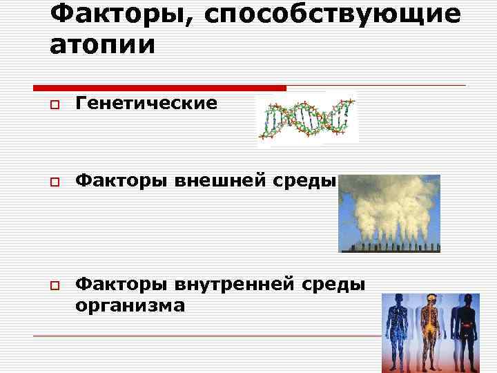 Факторы, способствующие атопии o Генетические o Факторы внешней среды o Факторы внутренней среды организма