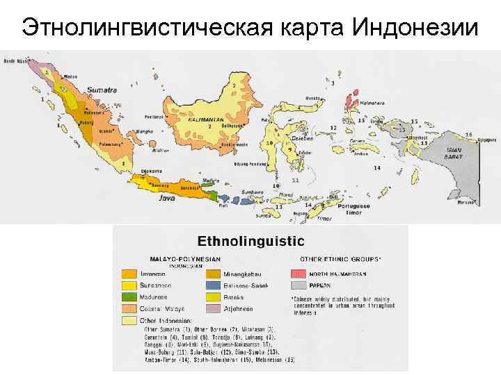 Этнолингвистическая карта Индонезии 