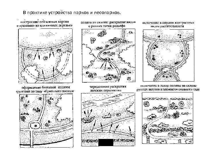 В практике устройства парков и лесопарков. 