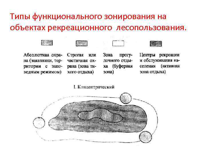 Типы функционального зонирования на объектах рекреационного лесопользования. 