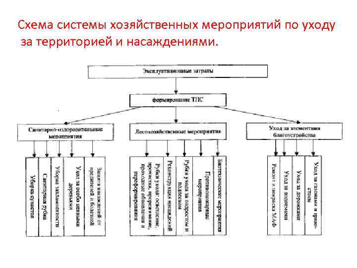 Схема системы хозяйственных мероприятий по уходу за территорией и насаждениями. 