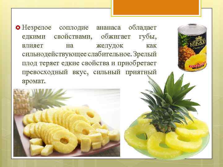  Незрелое соплодие ананаса обладает едкими свойствами, обжигает губы, влияет на желудок как сильнодействующее