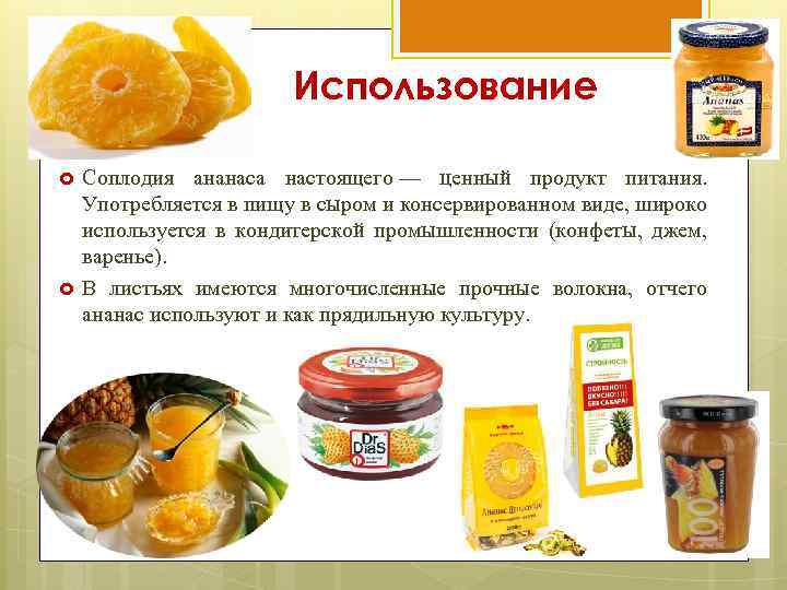 Использование Соплодия ананаса настоящего — ценный продукт питания. Употребляется в пищу в сыром и