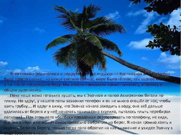 Я, со своими родителями и подружкой Эвой отдыхал на Каспийской море. Погода была просто