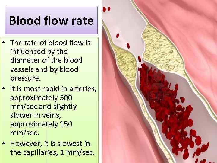 Blood flow rate • The rate of blood flow is influenced by the diameter