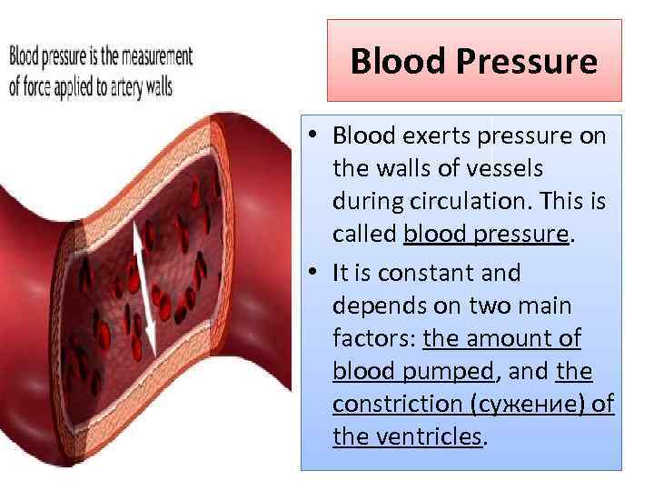 Blood Pressure • Blood exerts pressure on the walls of vessels during circulation. This