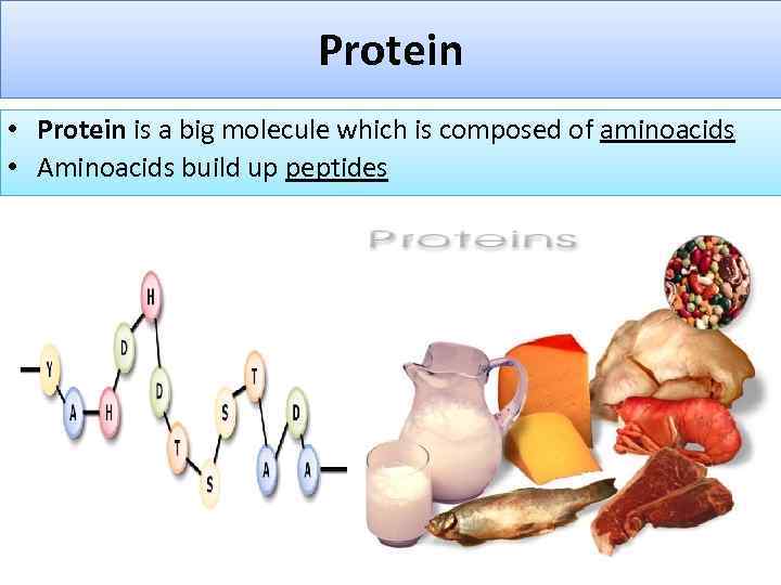 Protein • Protein is a big molecule which is composed of aminoacids • Aminoacids