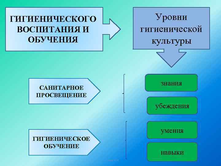 Уровни гигиенической культуры ГИГИЕНИЧЕСКОГО ВОСПИТАНИЯ И ОБУЧЕНИЯ знания САНИТАРНОЕ ПРОСВЕЩЕНИЕ убеждения умения ГИГИЕНИЧЕСКОЕ ОБУЧЕНИЕ