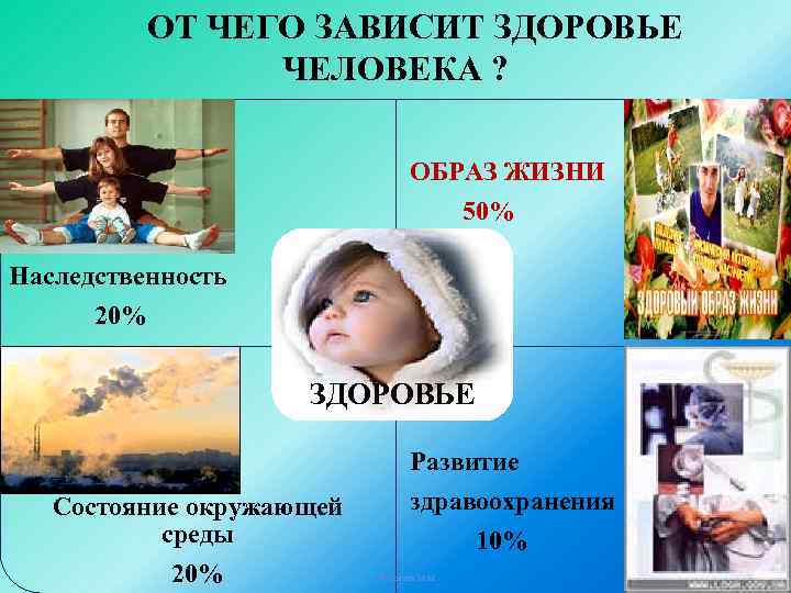 ОТ ЧЕГО ЗАВИСИТ ЗДОРОВЬЕ ЧЕЛОВЕКА ? ОБРАЗ ЖИЗНИ 50% Наследственность 20% ЗДОРОВЬЕ Развитие Состояние