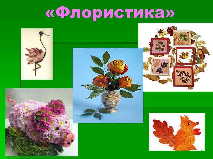  «Флористика» 