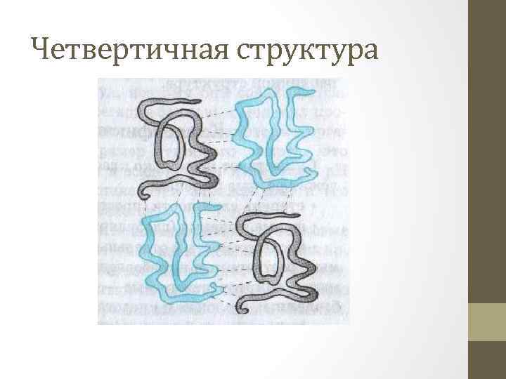 Четвертичная структура 