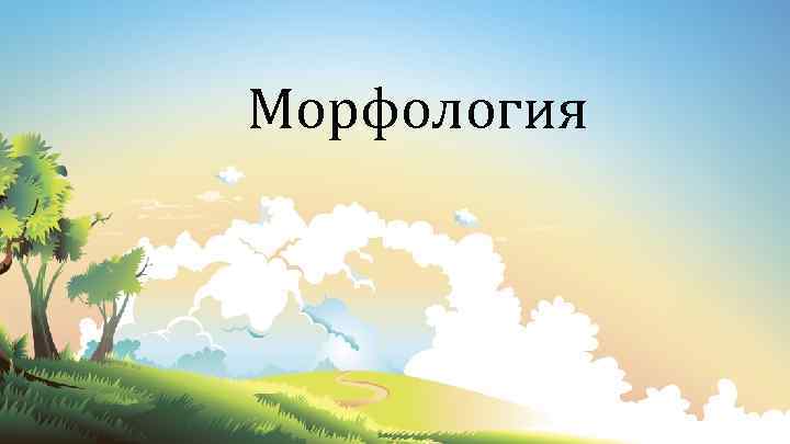 Морфология 