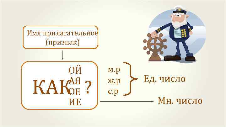Имя прилагательное (признак) ОЙ АЯ ОЕ ИЕ КАК ? м. р ж. р с.