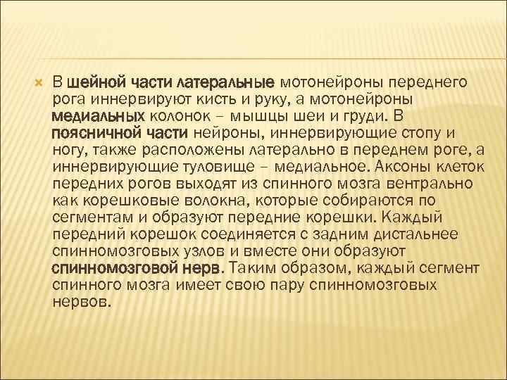  В шейной части латеральные мотонейроны переднего рога иннервируют кисть и руку, а мотонейроны