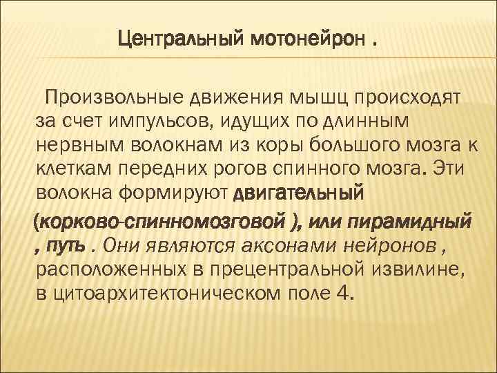 Центральный мотонейрон. Произвольные движения мышц происходят за счет импульсов, идущих по длинным нервным волокнам