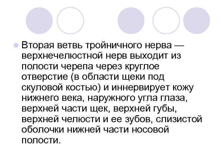 l Вторая ветвь тройничного нерва — верхнечелюстной нерв выходит из полости черепа через круглое