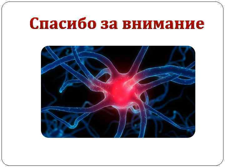 Спасибо за внимание 