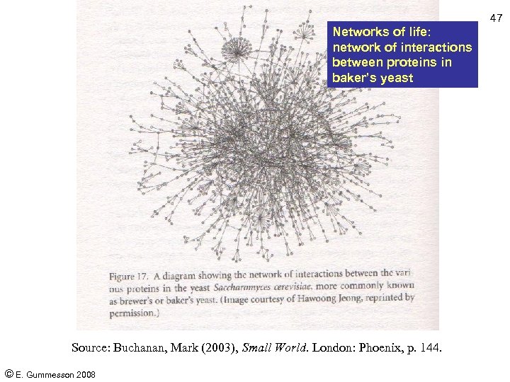 47 Networks of life: network of interactions between proteins in baker’s yeast Source: Buchanan,