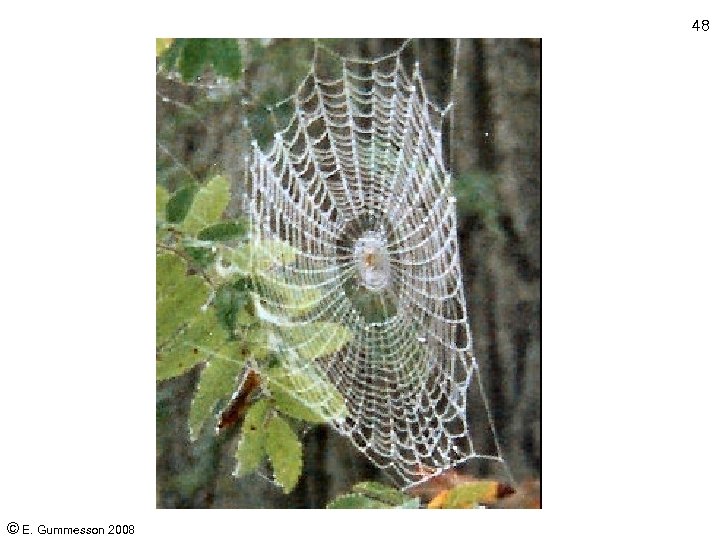 48 © E. Gummesson 2008 