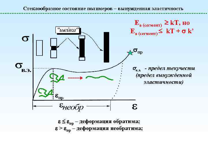 Стеклообразное состояние полимеров – вынужденная эластичность Еа (сегмент) k. T, но Еа (сегмент) k.
