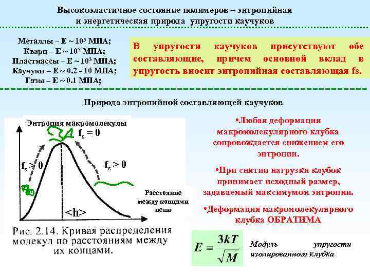 Высокоэластичное состояние полимеров – энтропийная и энергетическая природа упругости каучуков Металлы – E ~