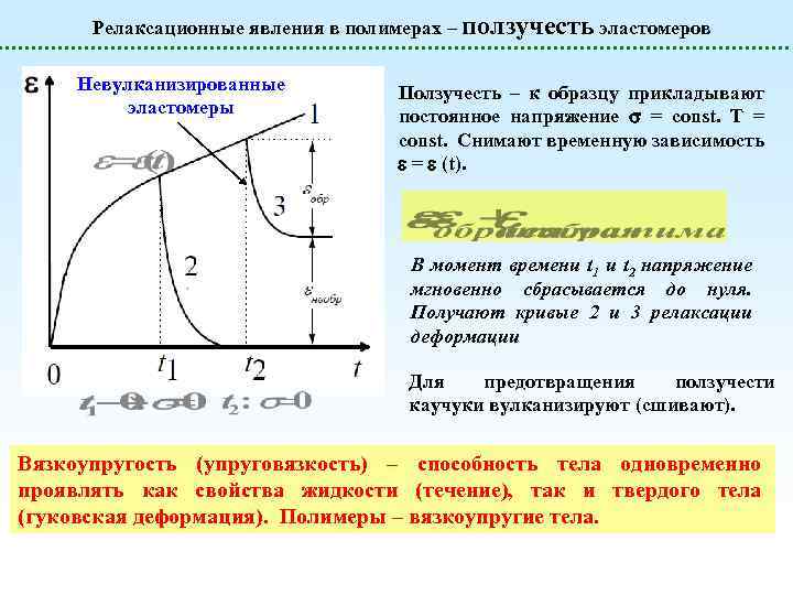 Релаксационные явления в полимерах – ползучесть эластомеров Невулканизированные эластомеры Ползучесть – к образцу прикладывают