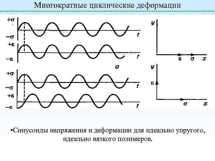 Многократные циклические деформации • • Синусоиды напряжения и деформации для идеально упругого, идеально вязкого