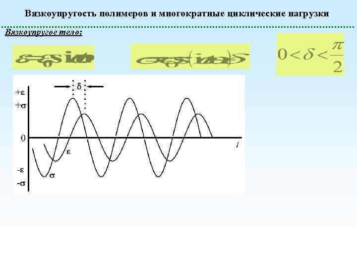 Вязкоупругость полимеров и многократные циклические нагрузки Вязкоупругое тело: 