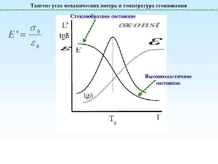 Тангенс угла механических потерь и температура стеклования Стеклообразное состояние Высокоэластичное состояние 