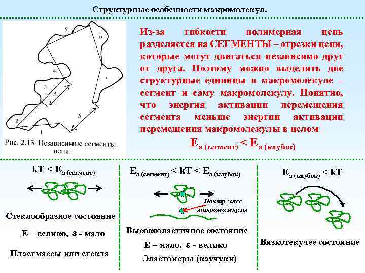 Структурные особенности макромолекул. Из-за гибкости полимерная цепь разделяется на СЕГМЕНТЫ – отрезки цепи, которые